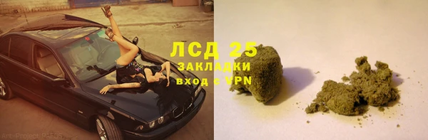 ГАЛЛЮЦИНОГЕННЫЕ ГРИБЫ Балахна