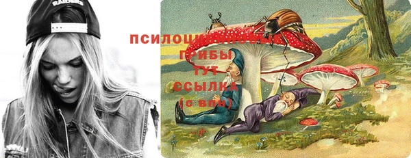 герыч Кострома